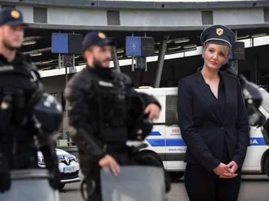 SLS bi ministrico poslala na mejo delat