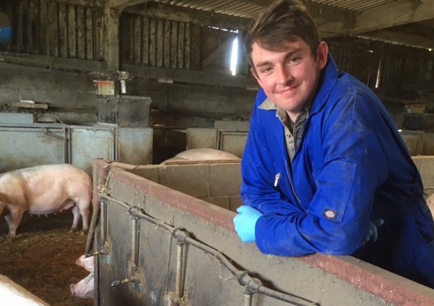 Šala dneva: kmet pri odvetniku