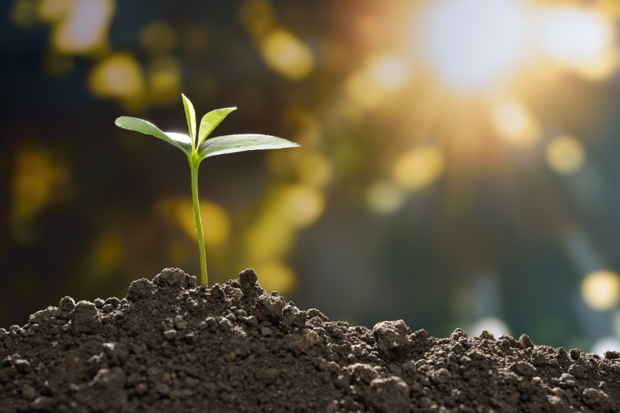 Emisijski kuponi so pot do bolj čistega okolja. Vir slike: CTX.