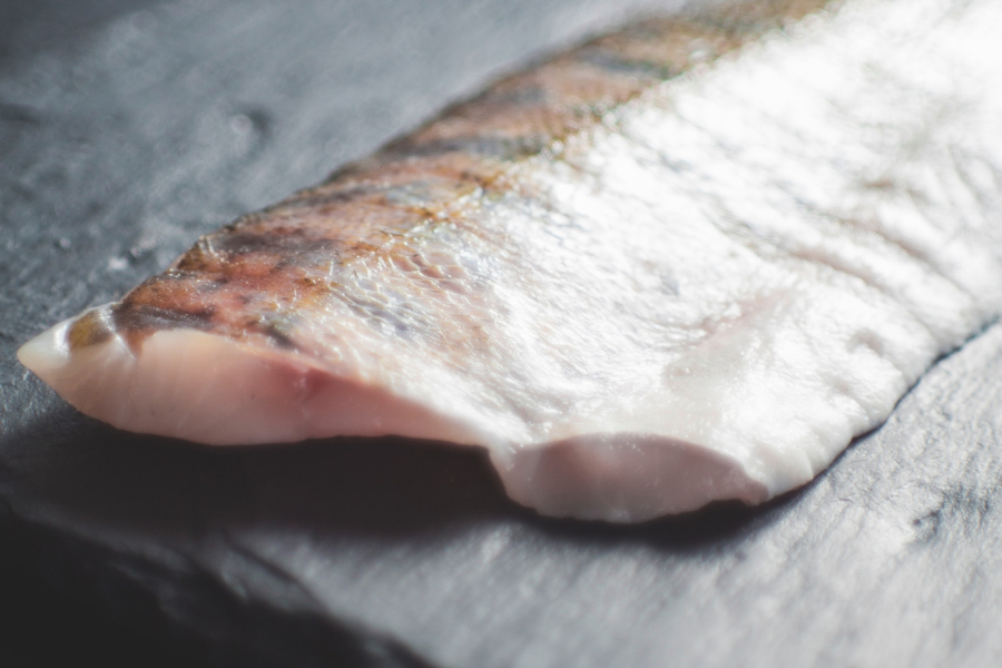 Tudi z ribami se lahko zastrupimo, če ne upoštevamo oznak na embalaži. Tudi z ribamo se lahko zastrupimo če ne upoštevamo oznak na embalaži_vir Pexels. Vir slike: Pexels.