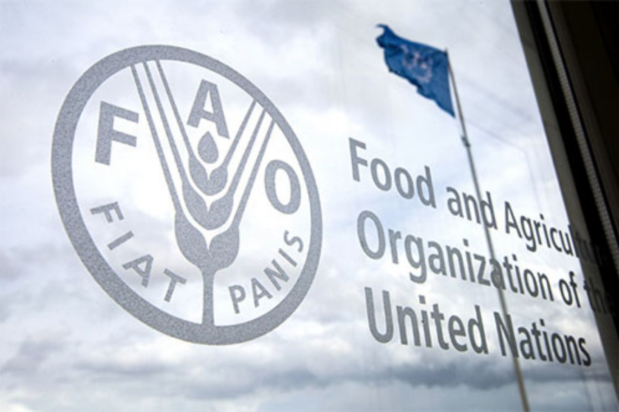 Organizacija Združenih narodov za prehrano in kmetijstvo vodi indekse cen osnovnih živil. Vir slike: FAO.