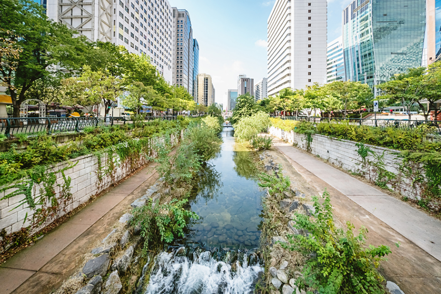 Mesta in druga urbana območja prav tako ponujajo možnosti za zmanjšanje emisij. Vir slike: Cornell.