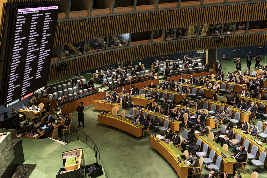 Zasedanje Organizacije Združenih narodov. Vir slike: CFP.