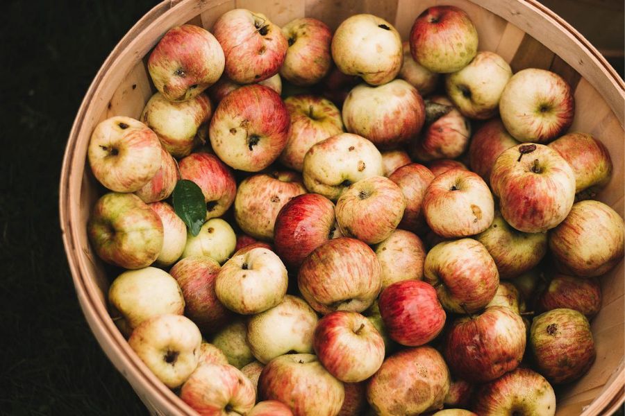 Jabolka so zdravilna, jabolčni kis pa jih po učinkovanju celo presega. Vir slike: Pixabay.