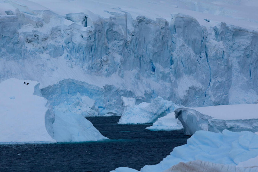 Ledeniki na Antarktiki. Vir slike: WWF.