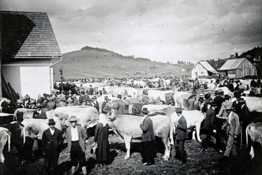 Živinski sejem v Novi vasi okoli leta 1930. Vir slike: Stareslike Cerknica.