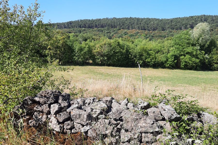 Suhozidi so lepa in uporabna kulturna dediščina Krasa.