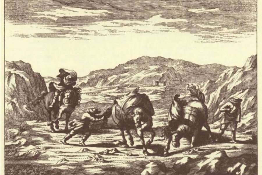 Kras. Tako pust kamen je obstajal za časa Valavazorja, a verjetno ne celotnem območju Krasa. Vir slike: Slava vojvodine Kranjske.