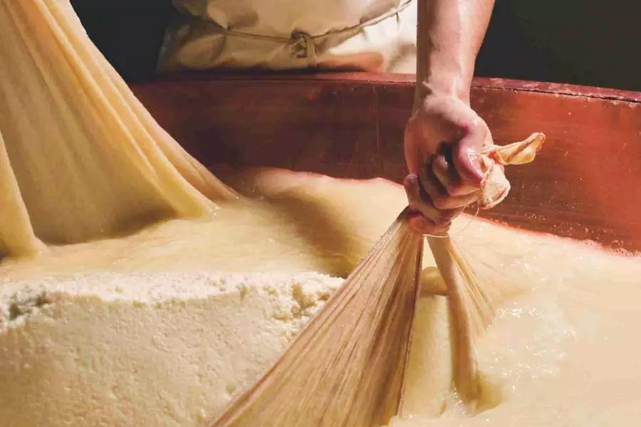 Svetovne cene sira so se novembra dvignile. Vir slike: Shutterstock.