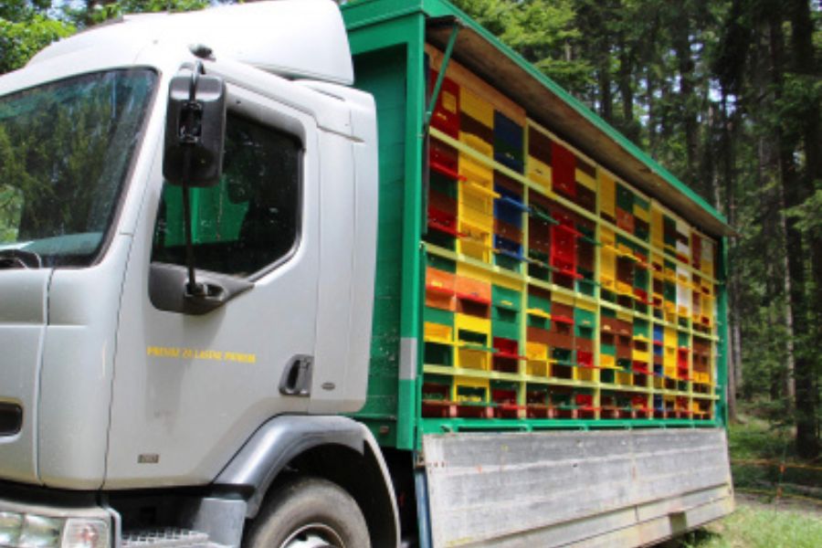 H gorivu za kmetijstvo spada tudi gorivo za vozila za prevoz čebeljih panjev. Vir slike: KGZS.