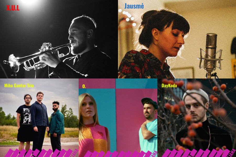 Na festivalu bo skupaj sodelovalo 39 glasbenih imen. Vir slike: MENT.