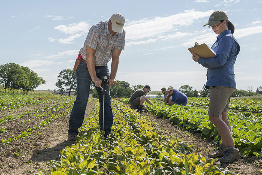 Delež ekoloških kmetijskih površin. Preden kmetijska površina postane ekološka, lahko mine tudi več let. Vir slike: Cynthia Van Elk, Pennsylvania.