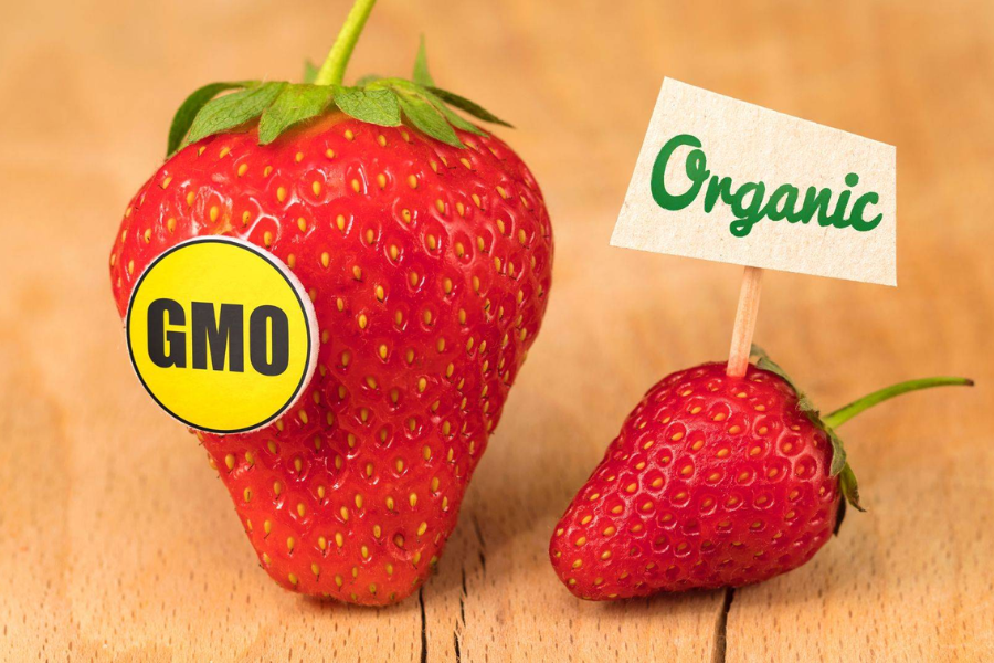 Evropski državljani so s svojimi nakupovalnimi praksami večkrat pokazali, da ne želijo GSO hrane. Vir slike: Riviera Produce.