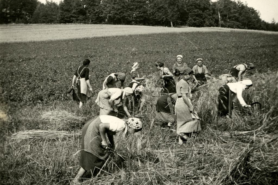 Slovenec_ Kmetijska šola v Bokalcah leta 1940. Vir slike: Ivanka Gantar, Cerknica org.