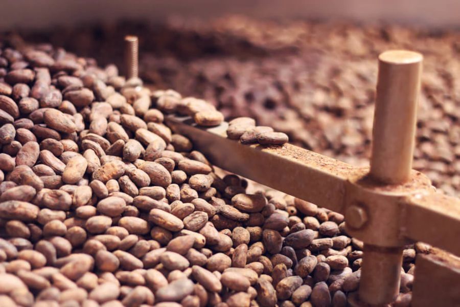 Kakav vsebuje več kot 300 zdravilnih spojin. Vir slike: To'ak.