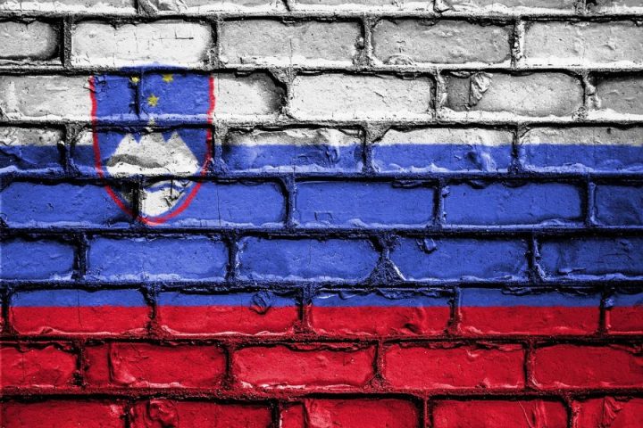 Domoljubje. vir slike Pixabay