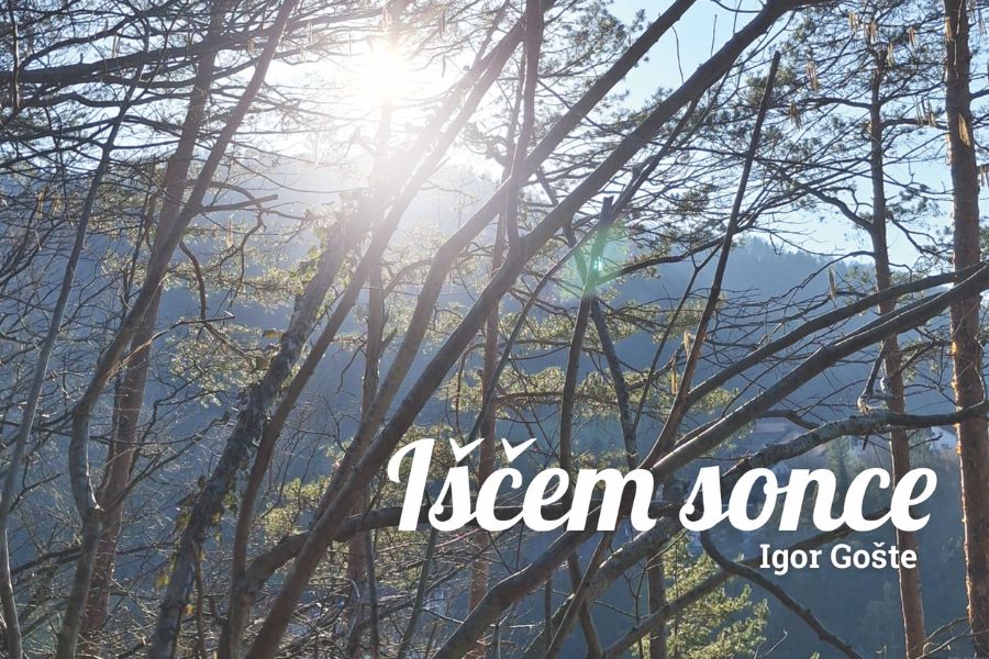 Namig za branje: Igor Gošte: Iščem sonce