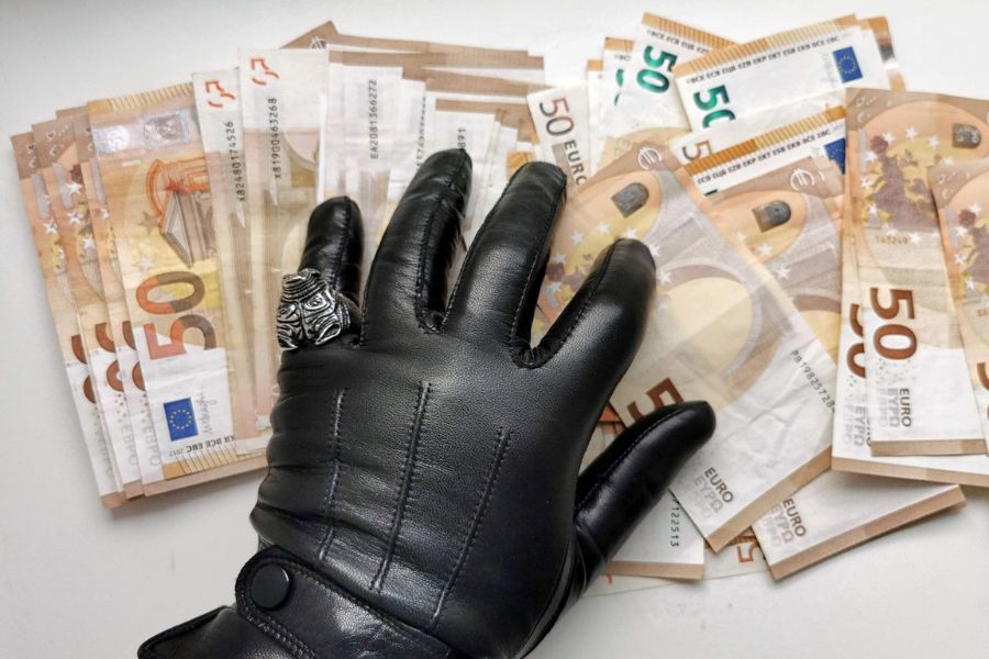 Nič se ne zgodi ali kako nam vladajo lisice in lisjaki