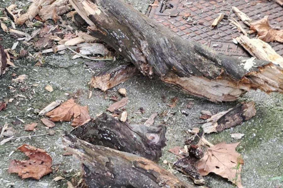 Pomembno je opozoriti in vztrajati, da se vendarle kaj premakne