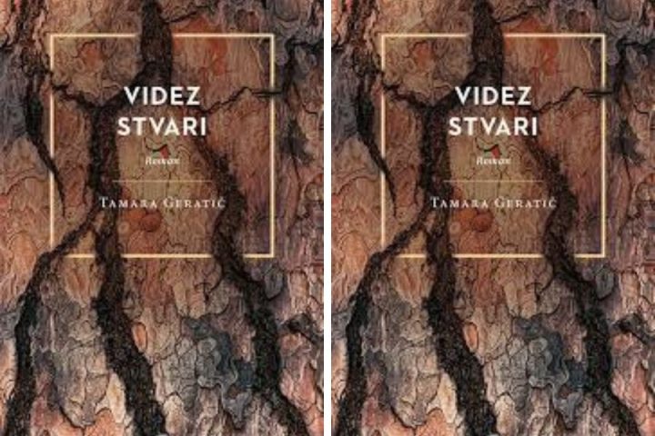 Videz stvari_naslovna