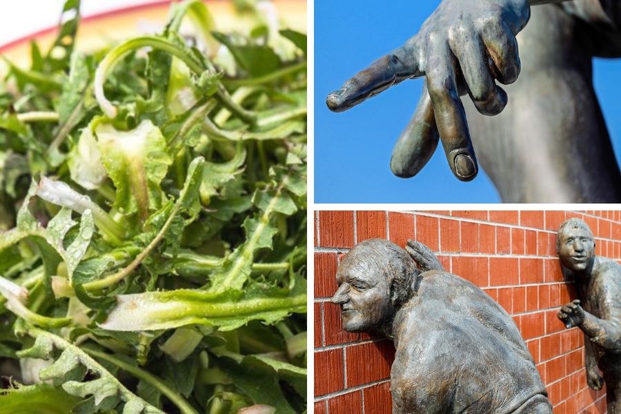 Regrat, prisluhi in šalabajzarstvo