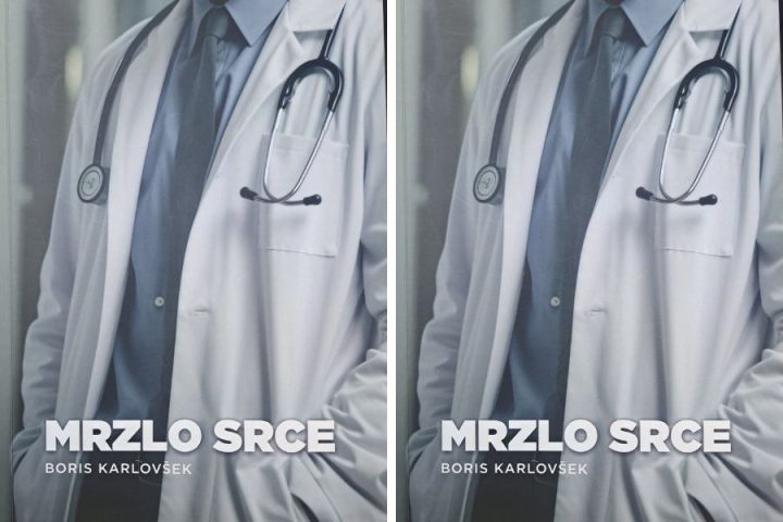 Mrzlo srce, roman, naslovnica
